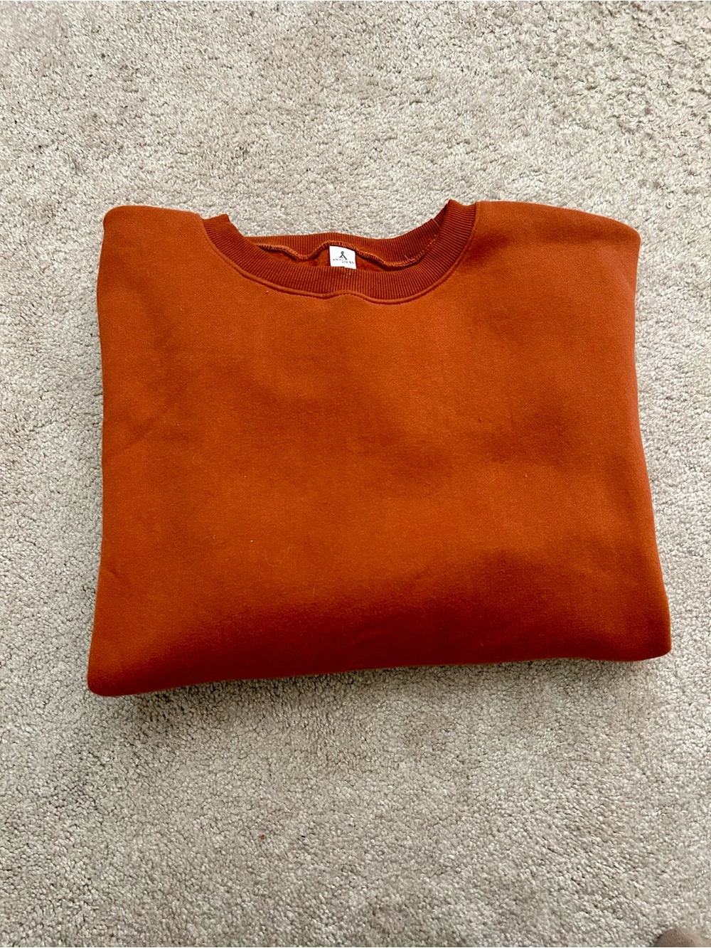 Men's Crewneck Sweater in Burnt Orange